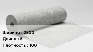 Геотекстиль 2500 5 100